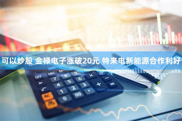 可以炒股 金禄电子涨破20元 特来电新能源合作利好