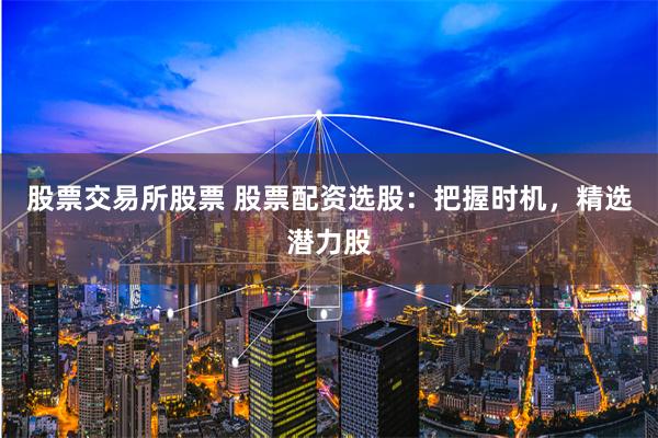 股票交易所股票 股票配资选股:把握时机,精选潜力股